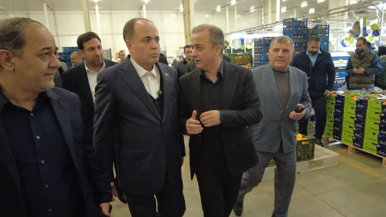 كشاورزي،محصولات،صادرات،توسعه،بازديد،بازارهاي،مجموعه،كشور،پاي ...