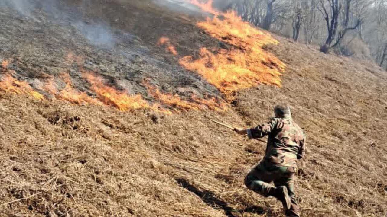 قمی: آتشسوزی در ۲ هکتار از اراضی جنگلی آستارا مهار شد قمی: آتشسوزی در ۲ هکتار از اراضی جنگلی آستارا مهار شد