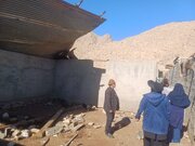 خسارت طوفان به دامداری در مهدیشهر؛ پیگیری حمایت‌های اعتباری از دامدار