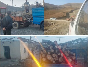 توقیف تراکتور حامل چوب‌های قاچاق درسقز؛تشکیل پرونده قضایی برای متخلفان