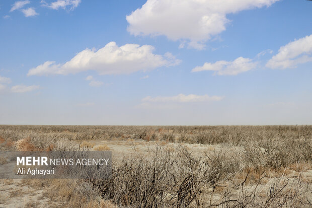 بازدید دبیر کارگروه ملی نجات دریاچه ارومیه از پروژه‌های تثبیت ریزگردهای حاشیه دریاچه
