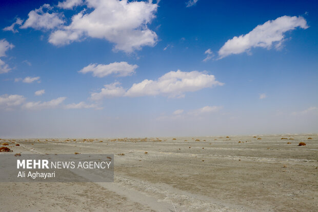 بازدید دبیر کارگروه ملی نجات دریاچه ارومیه از پروژه‌های تثبیت ریزگردهای حاشیه دریاچه