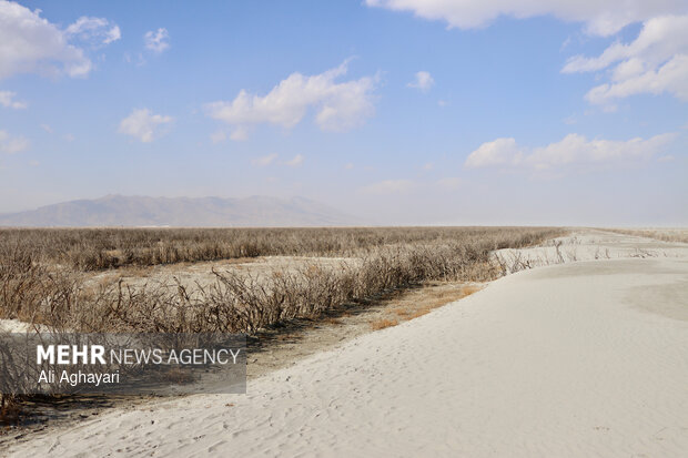 بازدید دبیر کارگروه ملی نجات دریاچه ارومیه از پروژه‌های تثبیت ریزگردهای حاشیه دریاچه
