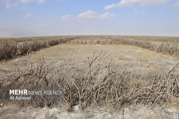 بازدید دبیر کارگروه ملی نجات دریاچه ارومیه از پروژه‌های تثبیت ریزگردهای حاشیه دریاچه