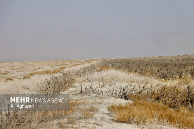 بازدید دبیر کارگروه ملی نجات دریاچه ارومیه از پروژه‌های تثبیت ریزگردهای حاشیه دریاچه