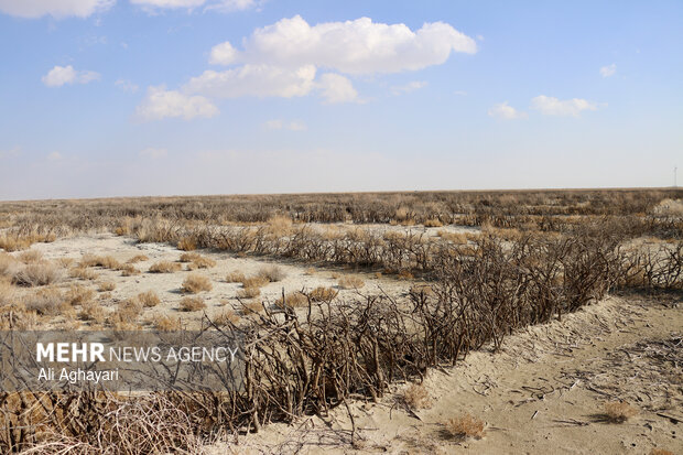 بازدید دبیر کارگروه ملی نجات دریاچه ارومیه از پروژه‌های تثبیت ریزگردهای حاشیه دریاچه