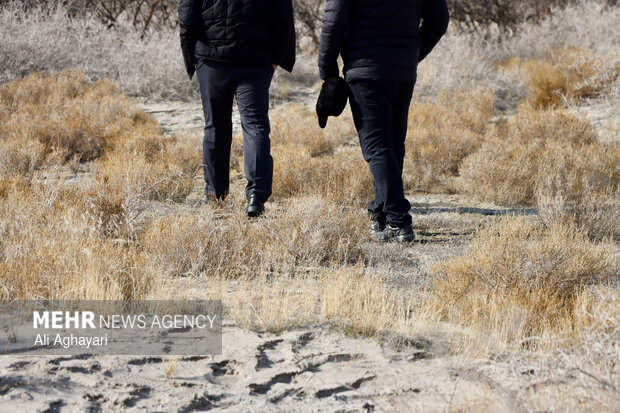 بازدید دبیر کارگروه ملی نجات دریاچه ارومیه از پروژه‌های تثبیت ریزگردهای حاشیه دریاچه