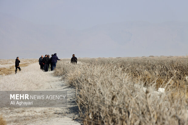 بازدید دبیر کارگروه ملی نجات دریاچه ارومیه از پروژه‌های تثبیت ریزگردهای حاشیه دریاچه