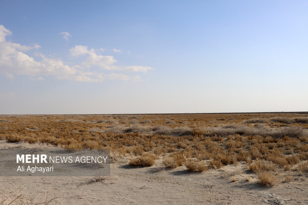 بازدید دبیر کارگروه ملی نجات دریاچه ارومیه از پروژه‌های تثبیت ریزگردهای حاشیه دریاچه