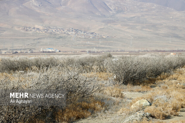 بازدید دبیر کارگروه ملی نجات دریاچه ارومیه از پروژه‌های تثبیت ریزگردهای حاشیه دریاچه