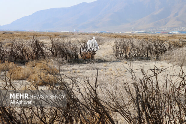 بازدید دبیر کارگروه ملی نجات دریاچه ارومیه از پروژه‌های تثبیت ریزگردهای حاشیه دریاچه