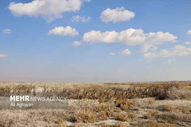 بازدید دبیر کارگروه ملی نجات دریاچه ارومیه از پروژه‌های تثبیت ریزگردهای حاشیه دریاچه