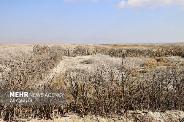 بازدید دبیر کارگروه ملی نجات دریاچه ارومیه از پروژه‌های تثبیت ریزگردهای حاشیه دریاچه