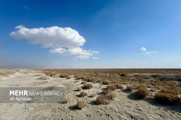 بازدید دبیر کارگروه ملی نجات دریاچه ارومیه از پروژه‌های تثبیت ریزگردهای حاشیه دریاچه