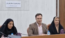 فرماندار تنگستان: ارتقای شاخص‌های سلامت بانوان لازمه توسعه اجتماعی است