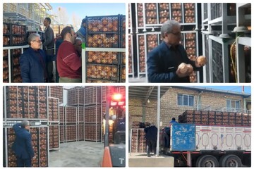 ذخیره‌سازی میوه شب عید و خرمای رمضان در کرمانشاه تشدید شد