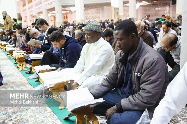 ترتیل خوانی قرآن در حرم حضرت معصومه(س)