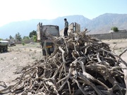 هدایت: محموله چوب غیرمجاز در محور نمین - اردبیل توقیف شد