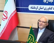 مصری: تفکر دیم‌کاری چالش اصلی کشاورزی کرمانشاه است