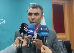 رقابت ۹۸۲ داوطلب برای ۲۱۵ کرسی شورای شهر در استان بوشهر