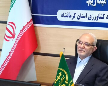 مصری: تفکر دیم‌کاری چالش اصلی کشاورزی کرمانشاه است