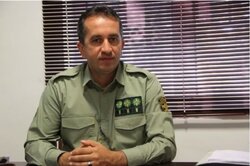 کشف و ضبط ۷۰ قبضه سلاح شکاری در آستارا