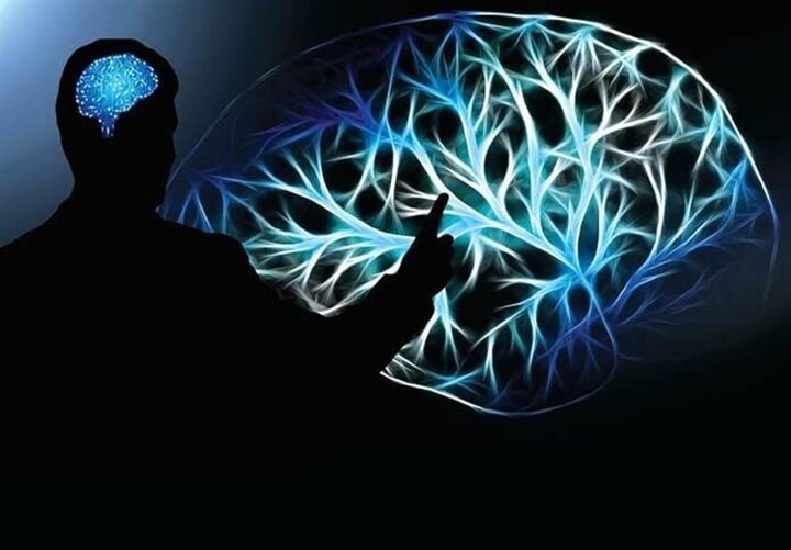 چاکرای باز و عقل بسته