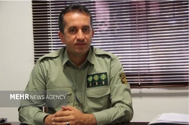 کشف و ضبط ۷۰ قبضه سلاح شکاری در آستارا