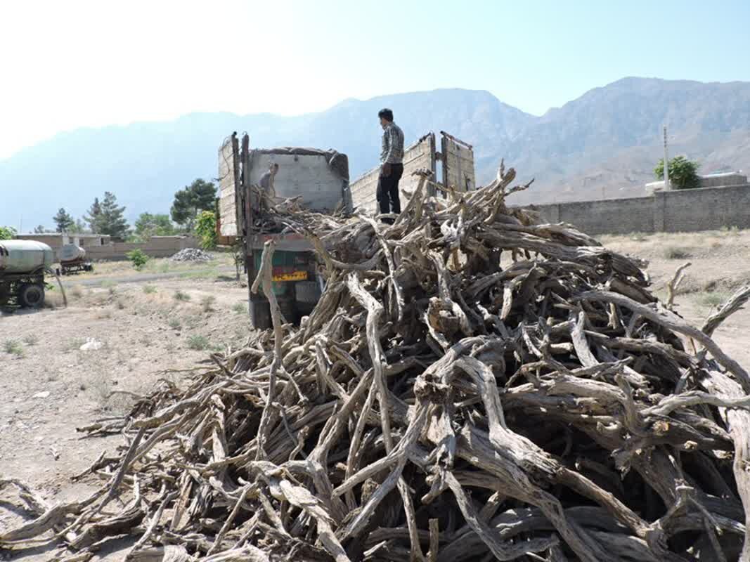 سرخه،انتظامي،تاغ،شهاب،چوب،الدين،قاچاق