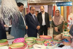 فرماندار بوشهر: اقتصاد خانواده‌محور زیربنای توسعه پایدار اجتماعی است