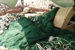 توقیف لنج صیادی متخلف در استان بوشهر