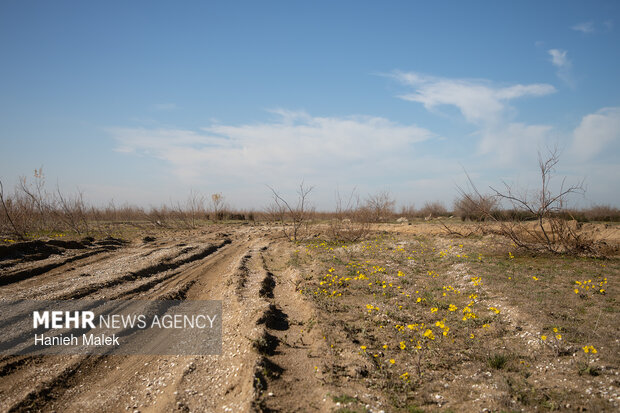 روایت سکوت در جزیره آشوراده