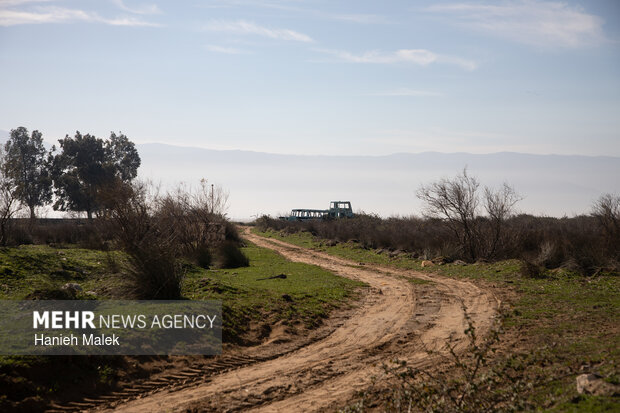 روایت سکوت در جزیره آشوراده