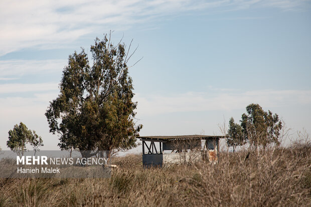 روایت سکوت در جزیره آشوراده