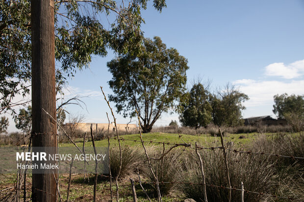 روایت سکوت در جزیره آشوراده