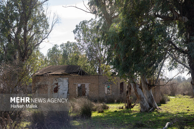 روایت سکوت در جزیره آشوراده