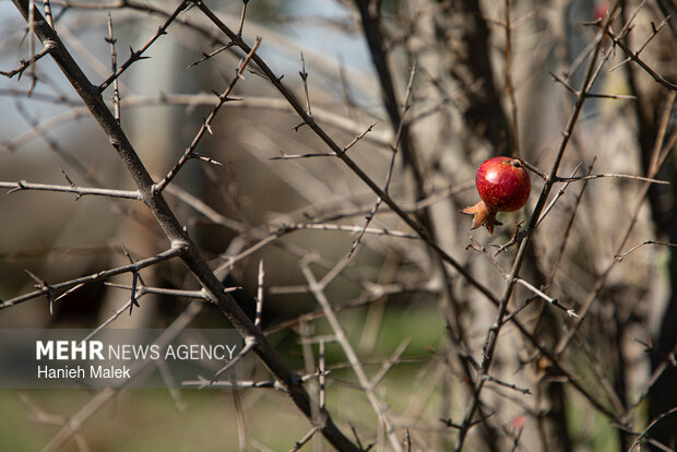 روایت سکوت در جزیره آشوراده
