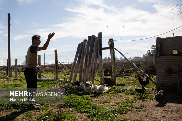 روایت سکوت در جزیره آشوراده