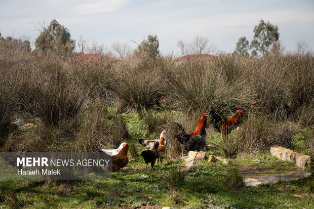 روایت سکوت در جزیره آشوراده