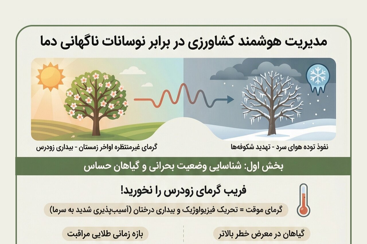 اینفوگرافیک؛ مدیریت هوشمند کشاورزی در برابر نوسانات ناگهانی دما