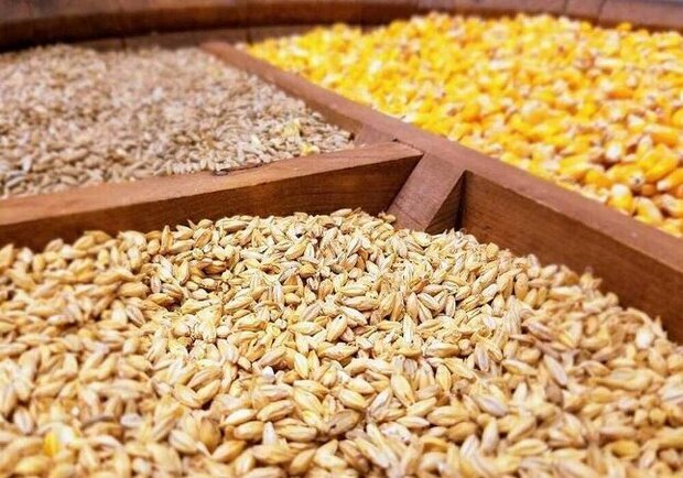 اینفوگرافیک؛ توزیع بیش از ۸۱ هزار تن نهاده دام و طیور در لرستان