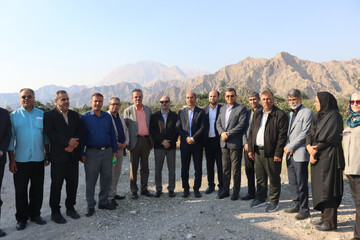 برداشت سالانه ۳۰۰ هزار تن محصول کشاورزی در شهرستان دشتی