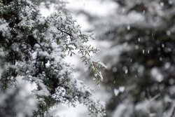 بارش برف بامدادی در مشهد