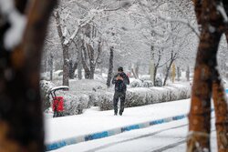 بارش‌ها در فریدن افزایش چشمگیر دارد؛ ثبت ۷.۷ میلی‌متر بارندگی در داران