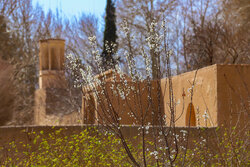 بهار زودرس در باغ‌شهر تاریخی مهریز