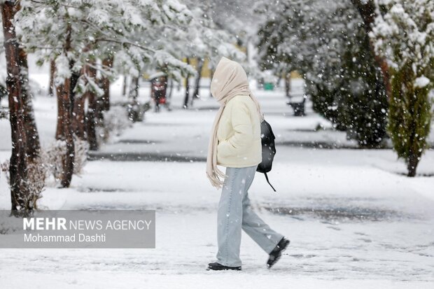 بارش برف در اردبیل