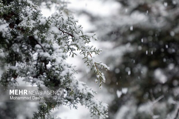 بارش برف در اردبیل