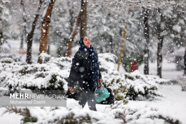 بارش برف در اردبیل