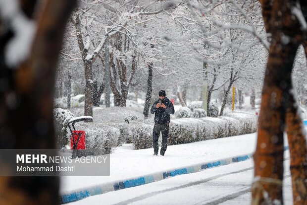 بارش برف در اردبیل