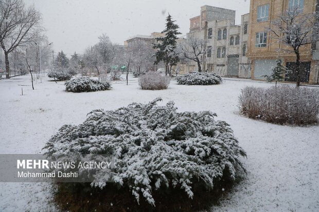 بارش برف در اردبیل